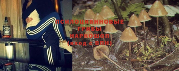 амф Богородск