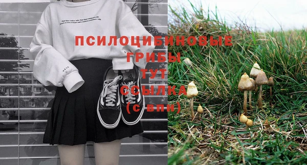 ешки Богданович