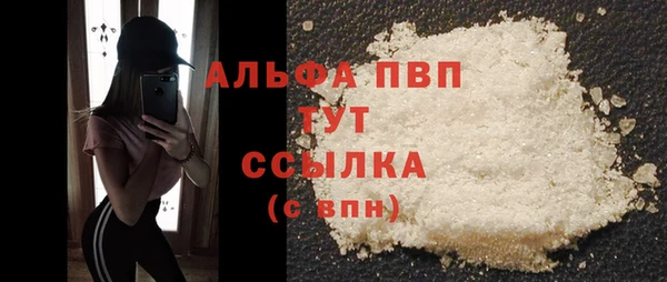 ешки Богданович